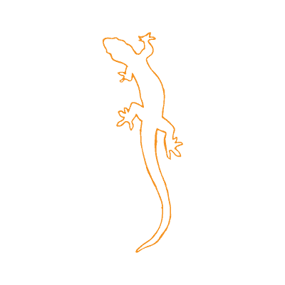 Excellent-Customer-Service