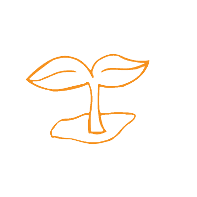 Growing A Follower Bse on Twitter, Pinterest, and Instagram