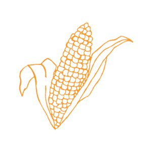 Your-Website-Is-Not-Just-A-Cornfield